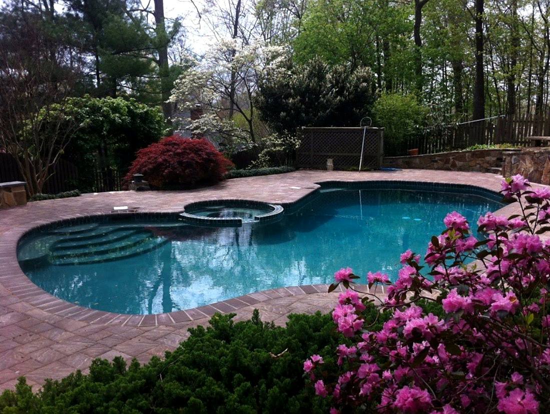 Freeform pool and spa with brick coping, azaleas in bloom